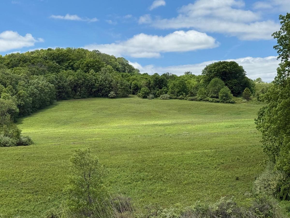 View of property's community with a lawn