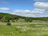 View of woods with a view of rural / pastoral area