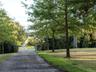 View of asphalt driveway