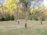View of grassy yard