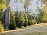 View of wooded area