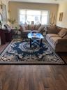 Living room with ornamental molding, healthy amount of natural light, hardwood / wood-style flooring, and a baseboard radiator