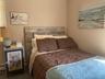 Bedroom featuring carpet and a baseboard radiator