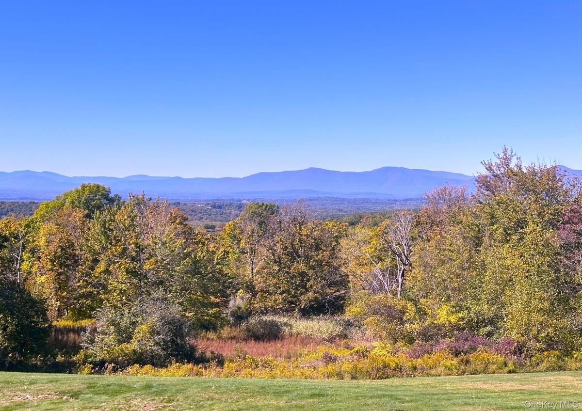 Catskill Mountain views