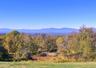 Catskill Mountain views