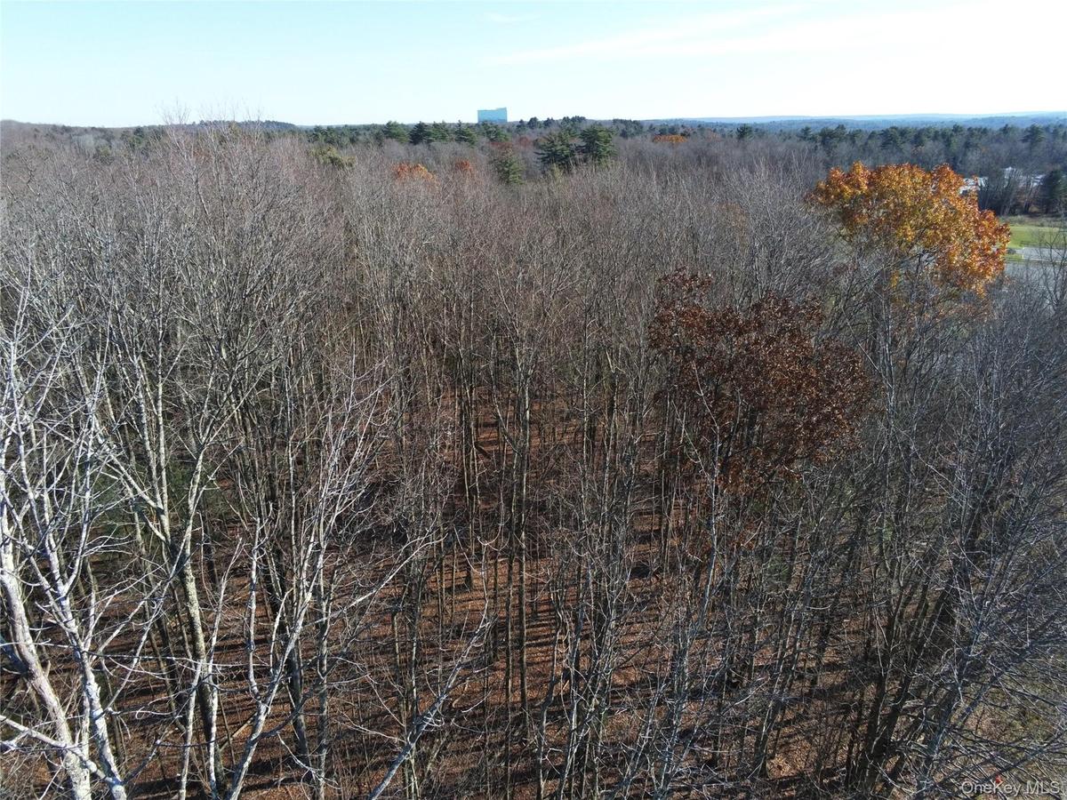 View of undeveloped land