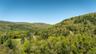 View of mountain backdrop with a forest