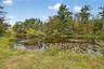 Water view featuring a heavily wooded area