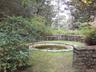 Possible water garden.