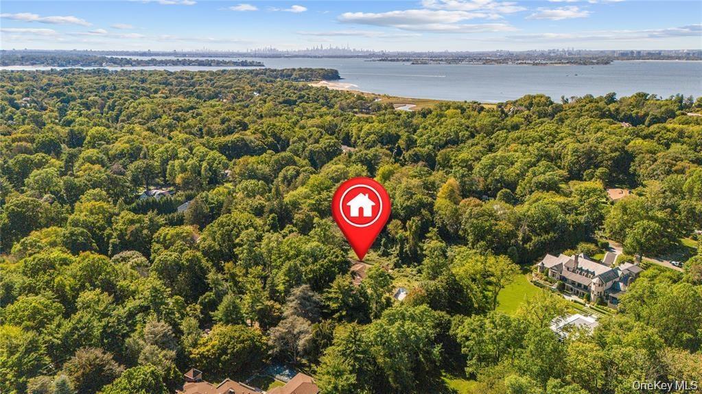 Drone / aerial view of a heavily wooded area