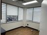Spare room with hardwood / wood-style flooring, plenty of natural light, and a drop ceiling