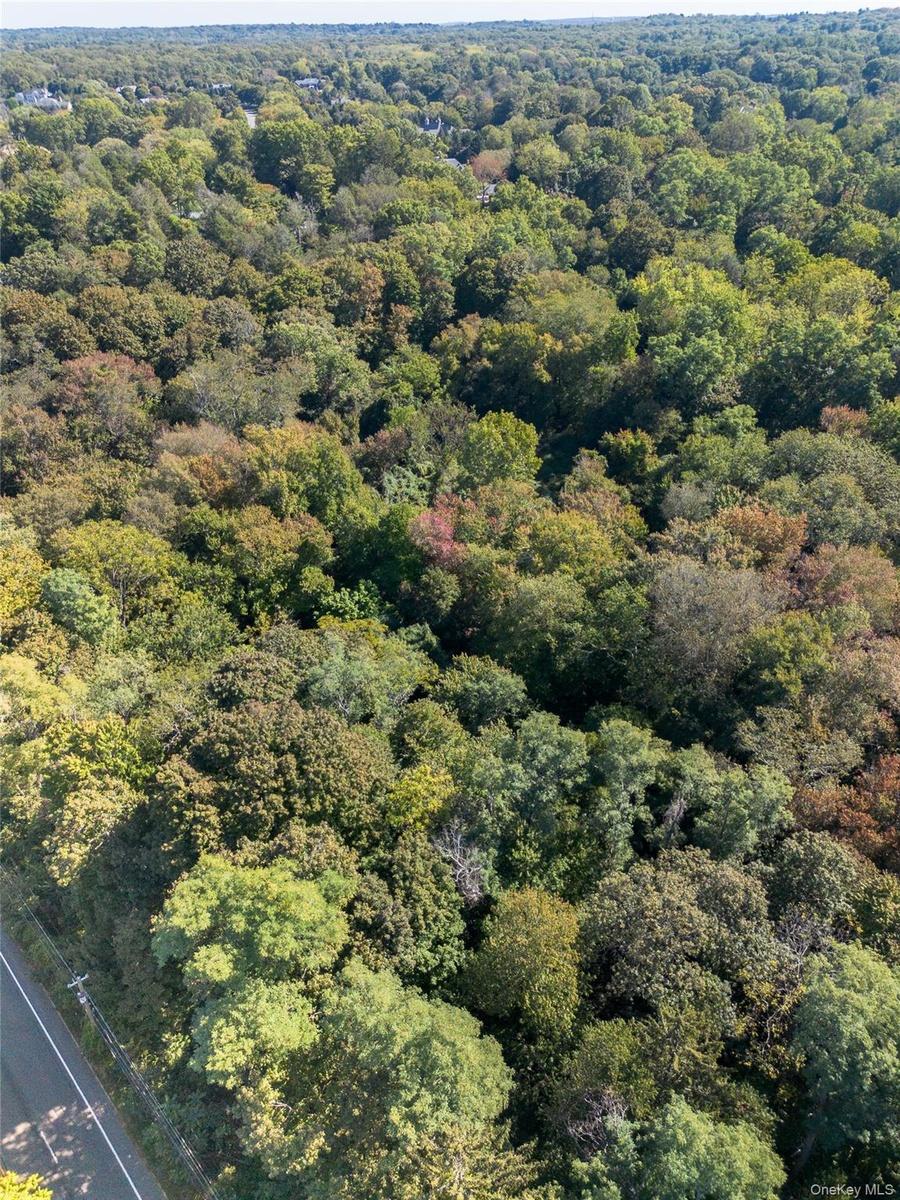 Aerial view of property's location