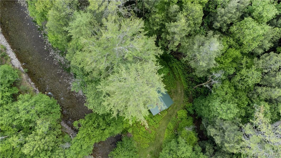 View of drone / aerial view
