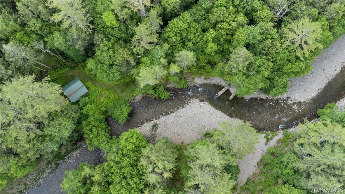 View of bird's eye view