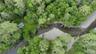 View of bird's eye view