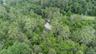 View of bird's eye view
