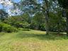 Proposed Land with mature trees and privacy.