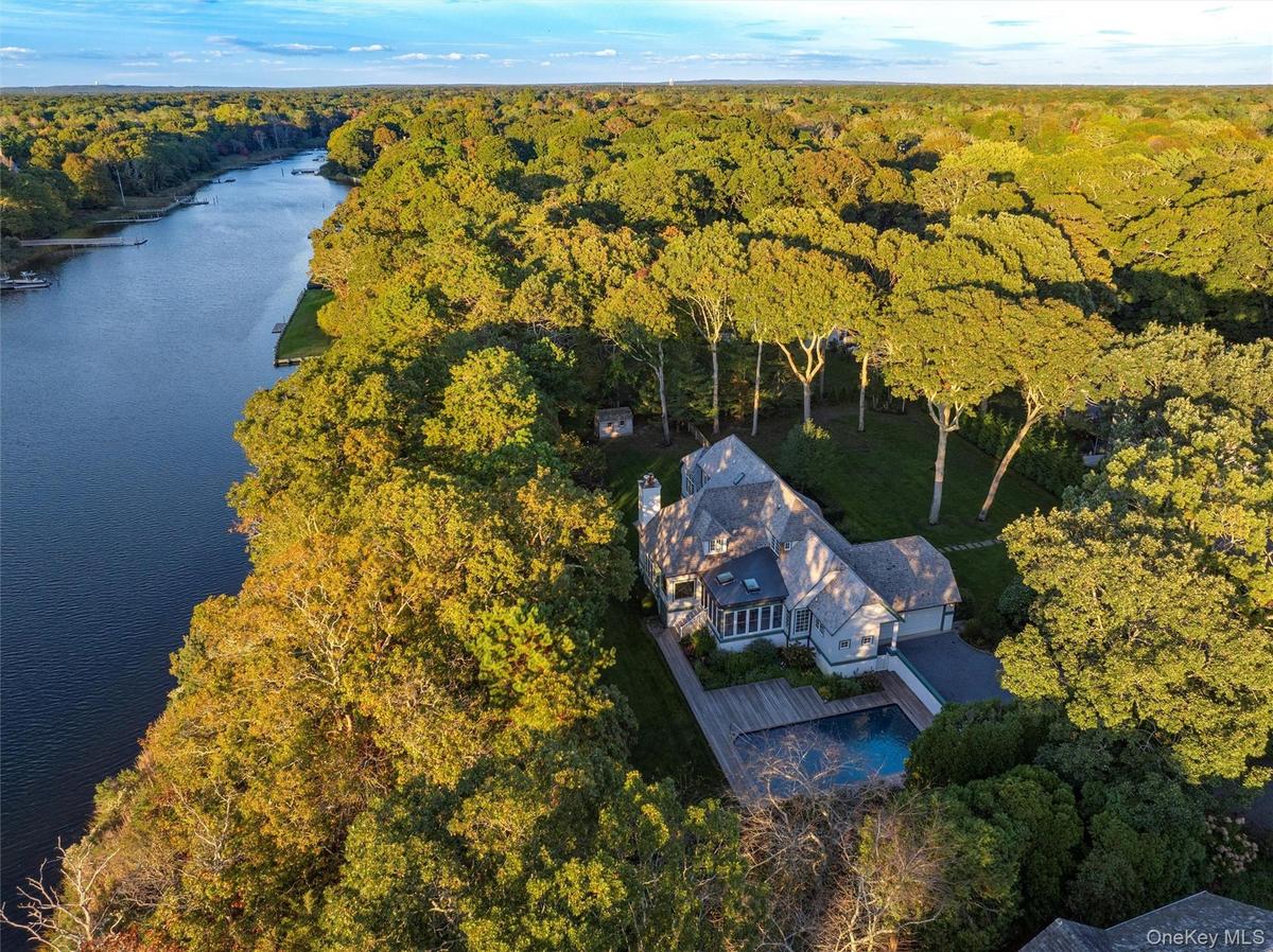 Aerial view of a forest and a large body of water