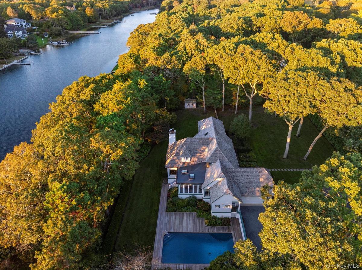 Bird's eye view of a forest and a large body of water