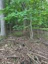 privacy