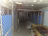 Some Kennels in the Basement