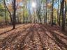 Beautiful and level homesite