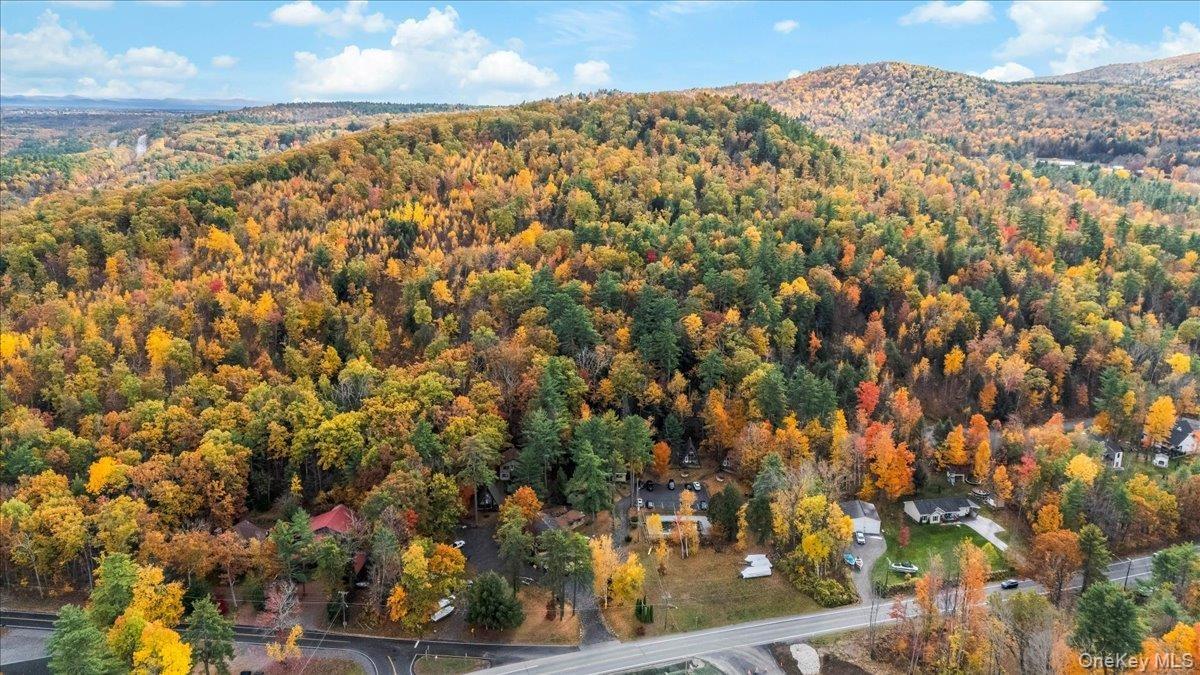 Aerial overview of property's location