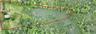 View of property location with property parcel outlined and a heavily wooded area