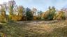 View of tree filled area