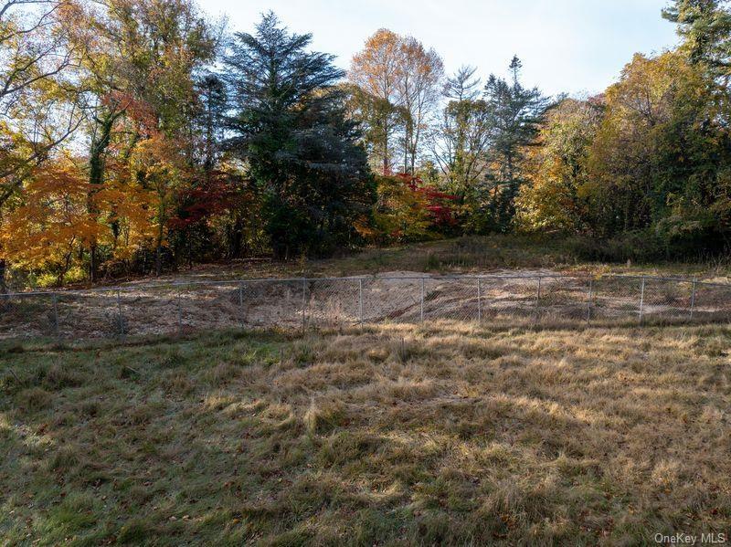 View of yard featuring a view of trees