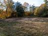 View of yard featuring a view of trees