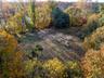 View of yard featuring a forest view