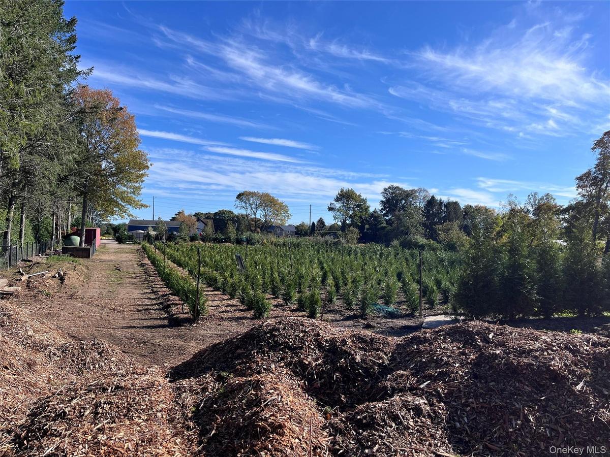 2.06 acres with rural view and agricultural plantings