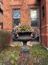 Urn in Garden