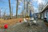 Patio/Backyard