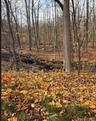View of undeveloped land