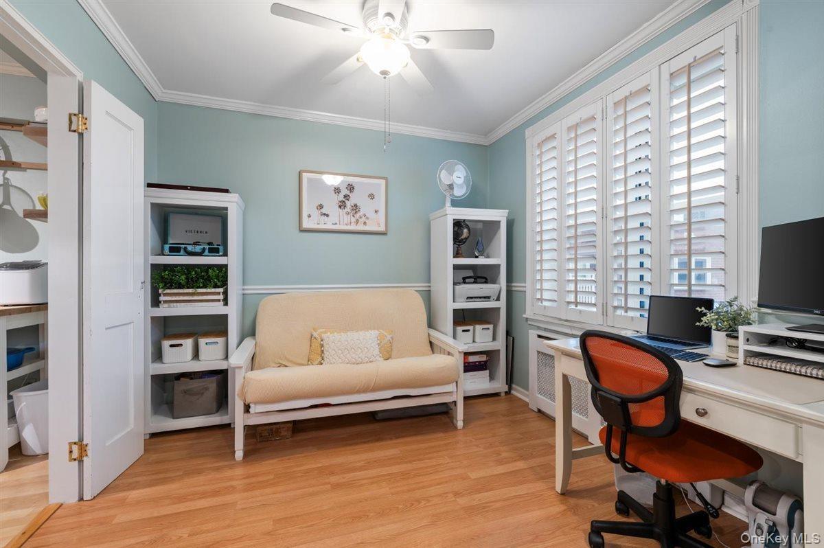 Home office featuring light wood finished floors, radiator, ornamental molding, and ceiling fan