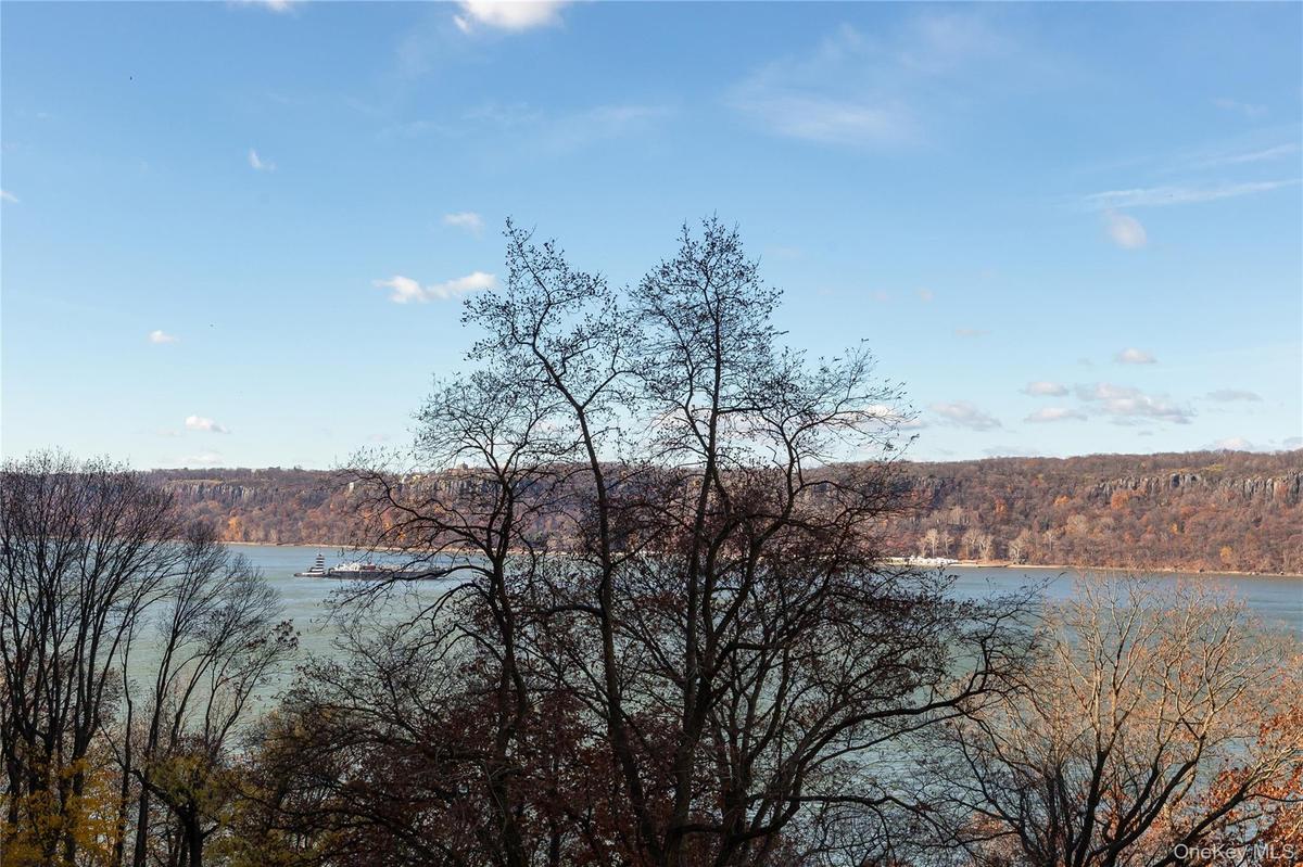 Water view with a heavily wooded area