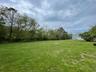 View of grassy yard