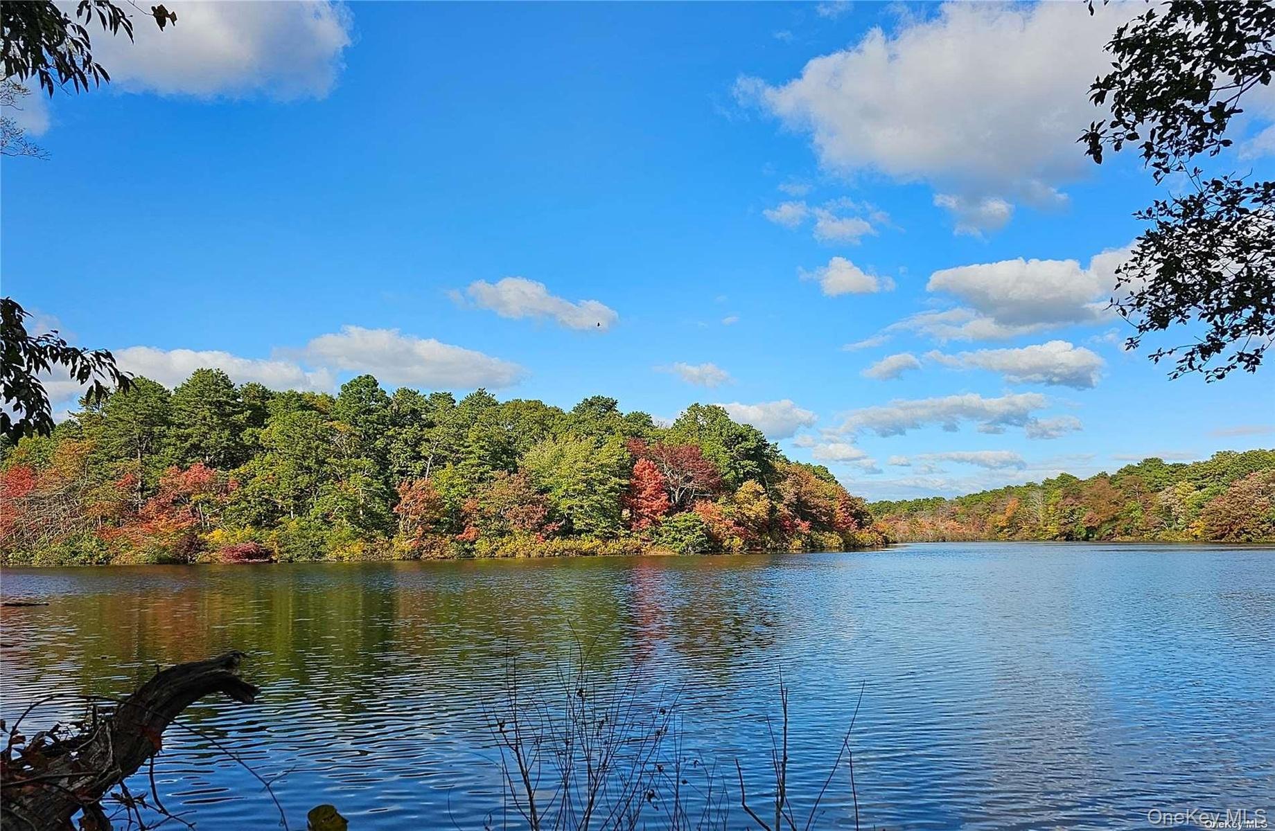 BeaverLake