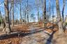 Peaceful wooded approach with a gravel drive, showcasing the property’s natural setting and sense of privacy just moments from the waterfront