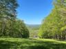 View of mountain background featuring a heavily wooded area