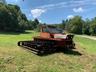 View of grassy yard