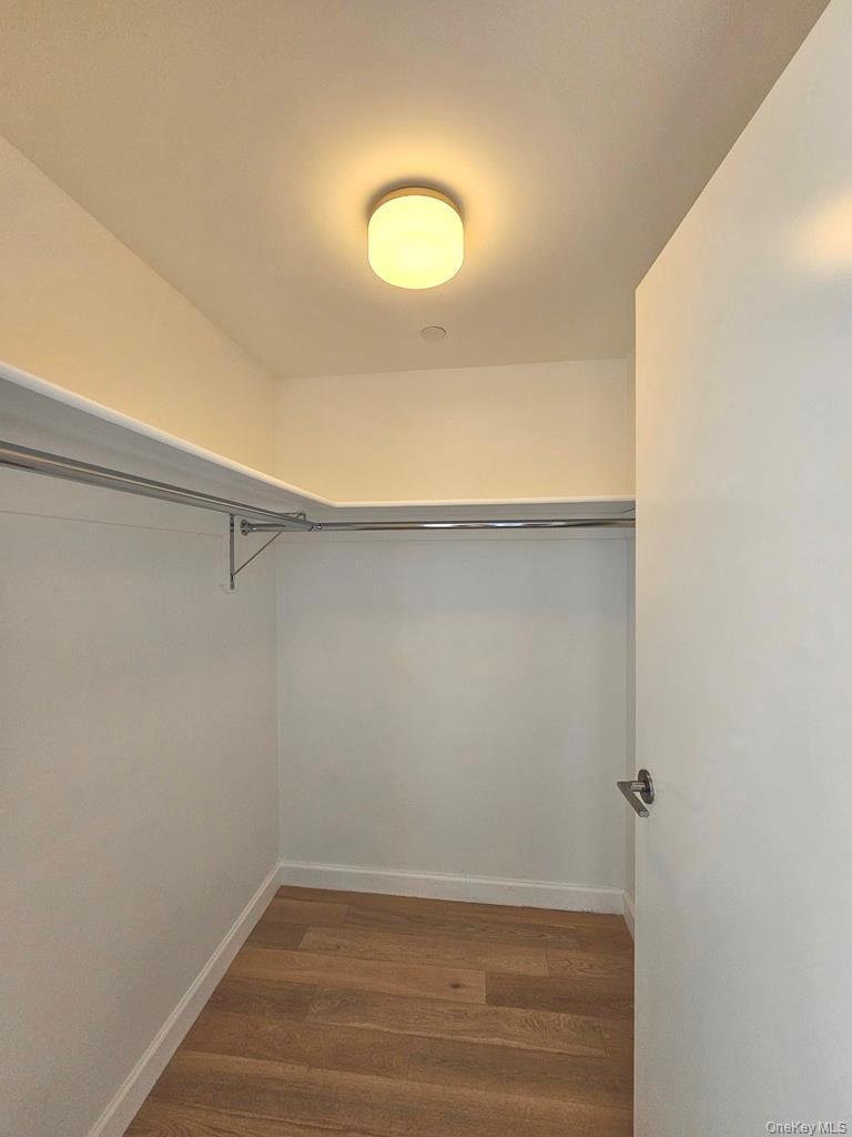 Walk in closet with dark wood finished floors