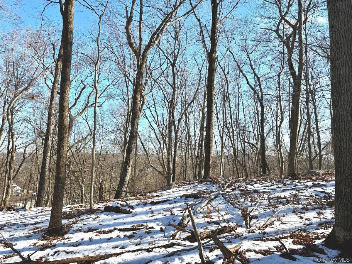 Distant seasonal view of the reservoir