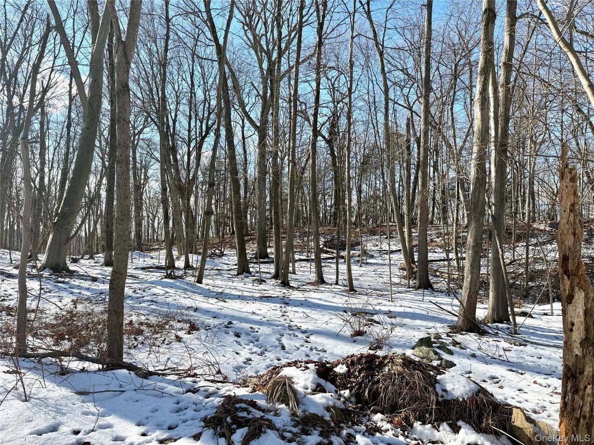 View of the property