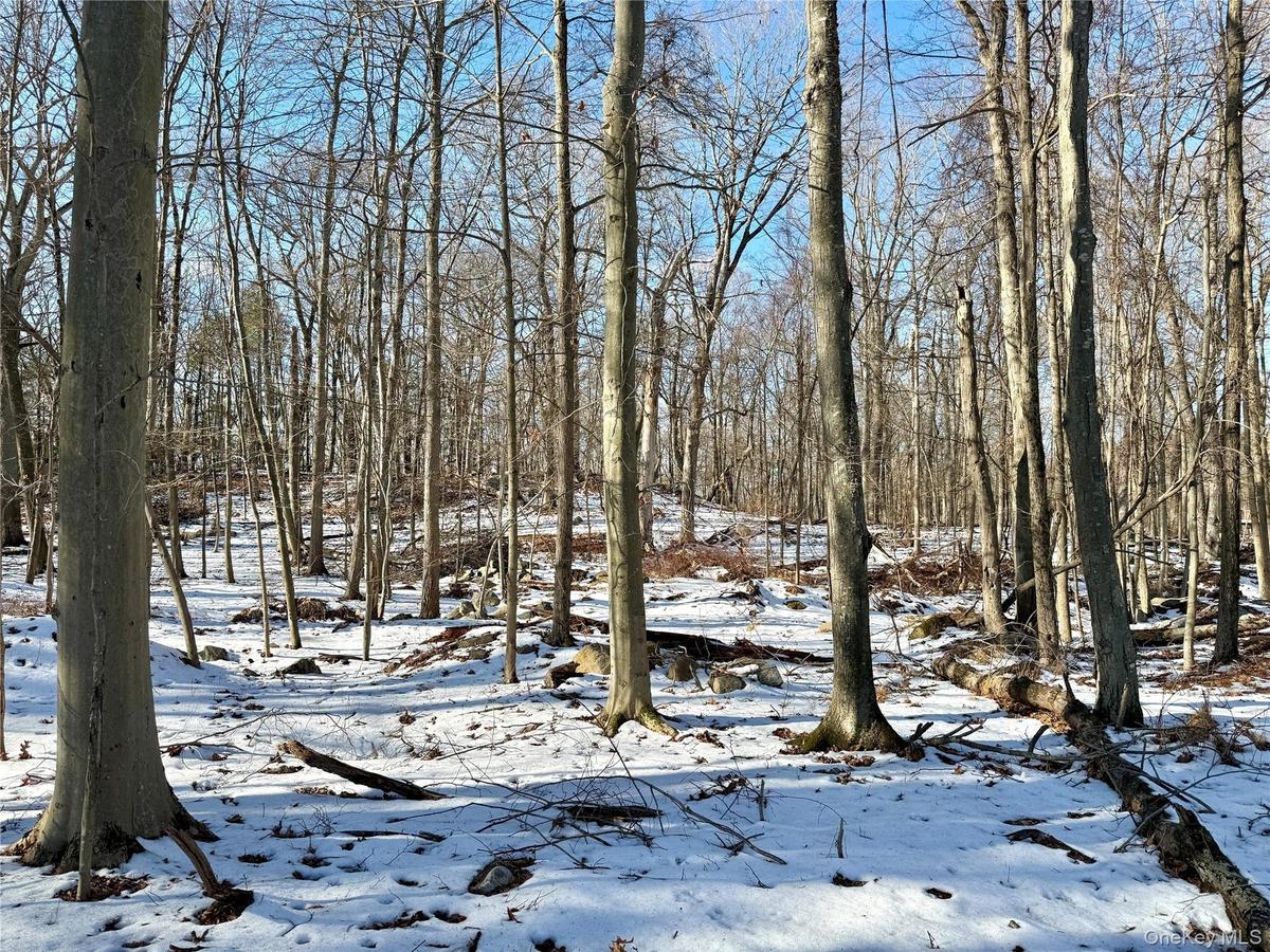 Another view of the property
