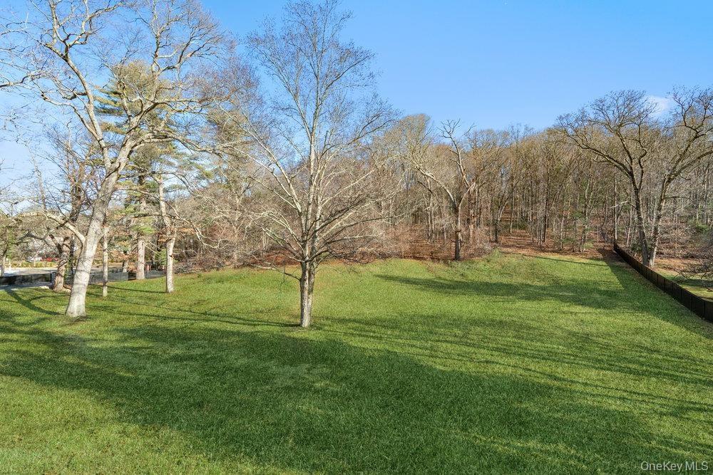 View of green lawn