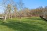 View of green lawn