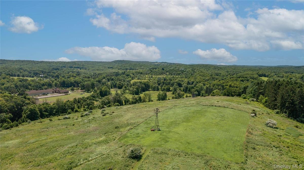 Massive stand of towering pines protects the property from Rowe Rd